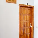 El Delfin Apartment